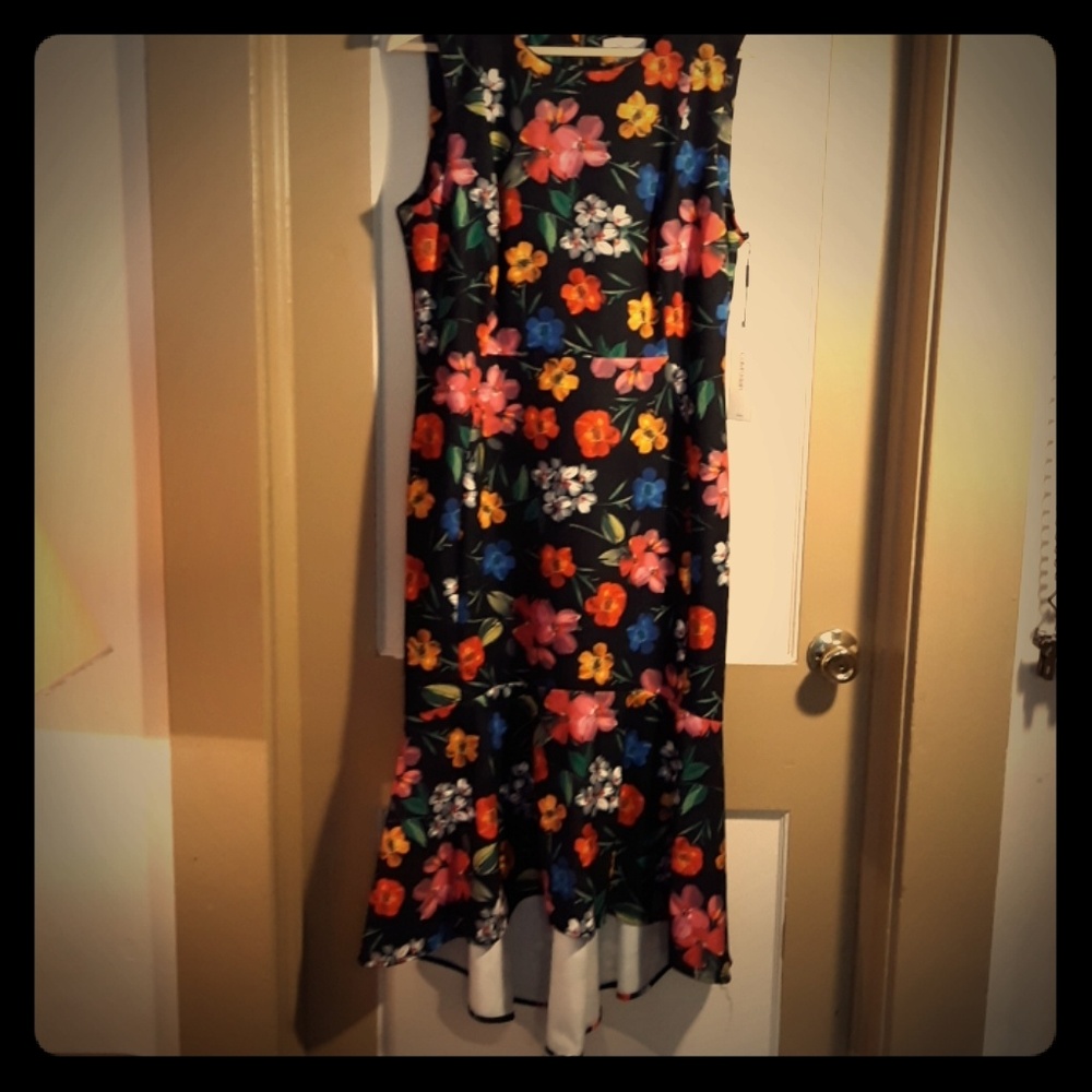 Calvin Klein dress ladies size 14 black Floral